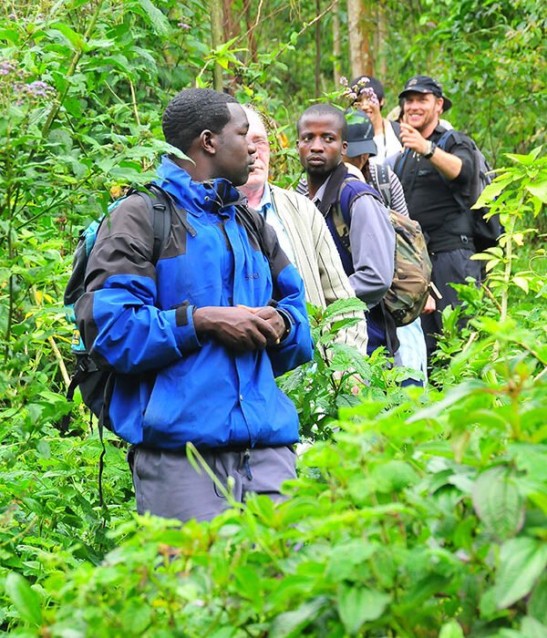 Nature walk and gorilla tracking bwindi