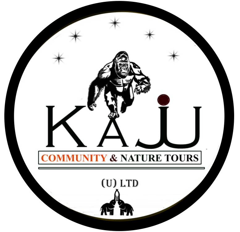 Kaju Tours